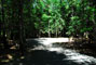 Lily Bay State Park 225