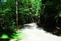 Lily Bay State Park 226