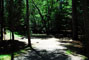 Lily Bay State Park 229
