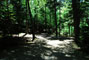 Lily Bay State Park 230