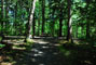 Lily Bay State Park 231