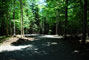 Lily Bay State Park 232