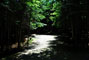 Lily Bay State Park 234
