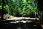Lily Bay State Park 235