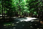 Lily Bay State Park 236