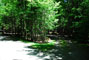 Lily Bay State Park 240