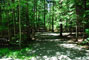 Lily Bay State Park 241