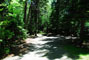 Lily Bay State Park 243