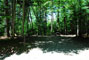 Lily Bay State Park 244