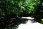 Lily Bay State Park 245