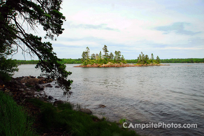 Cobscook Bay High Tide