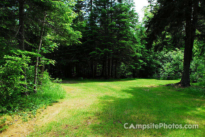 Cobscook Bay State Park 026