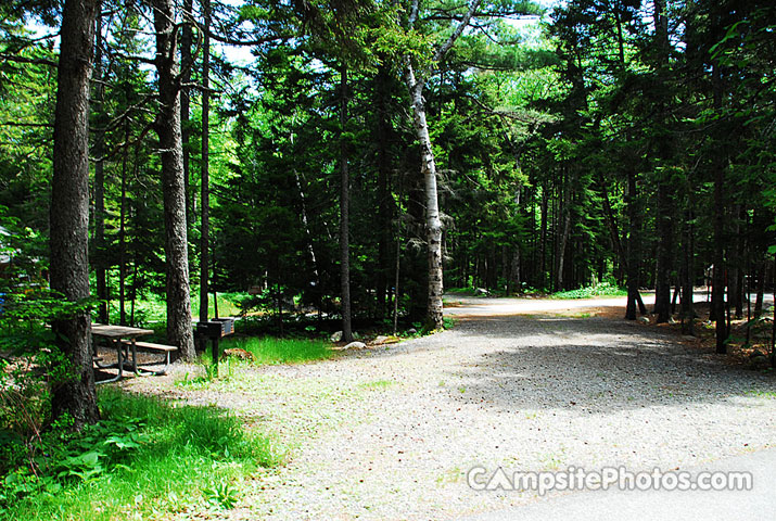 Acadia National Park Blackwoods A054