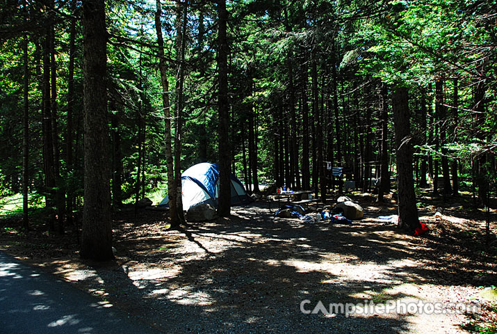 Acadia National Park Blackwoods A094