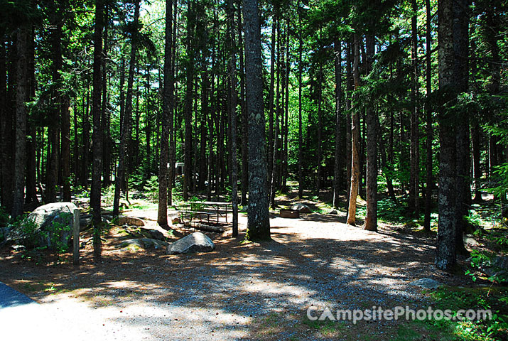 Acadia National Park Blackwoods A095