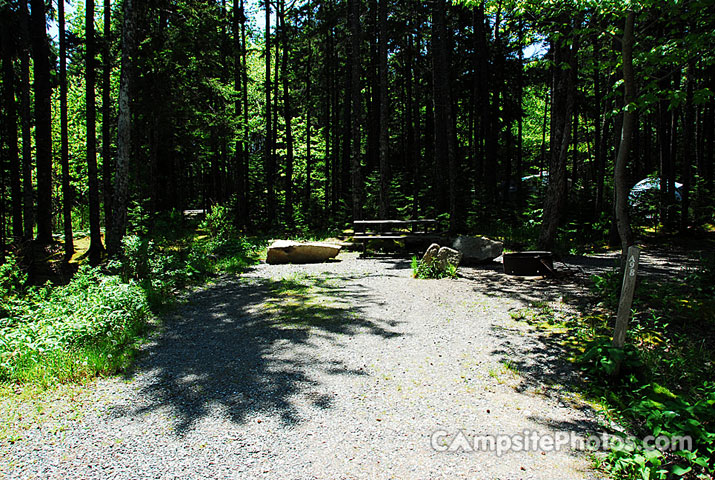 Acadia National Park Blackwoods A098