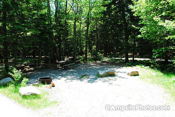 Acadia National Park Blackwoods A144