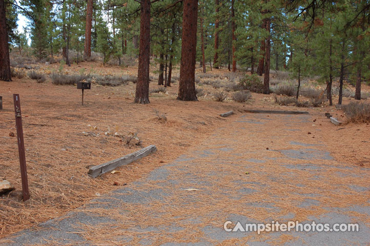 Logger Campground 001