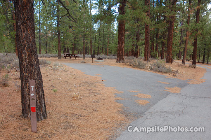 Logger Campground 007