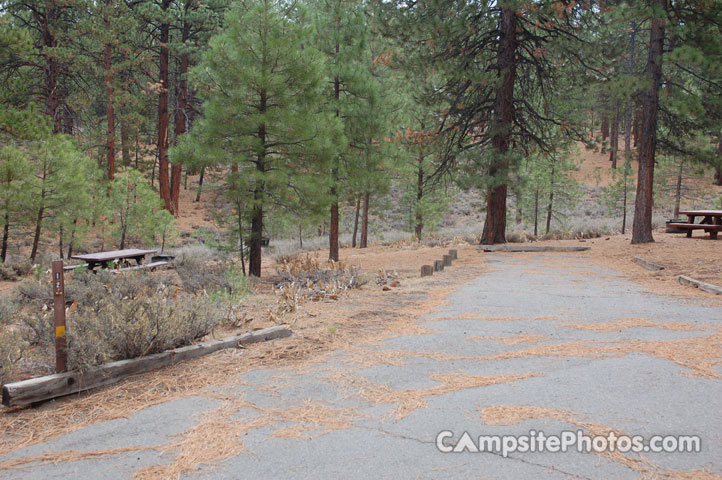 Logge Campground 012