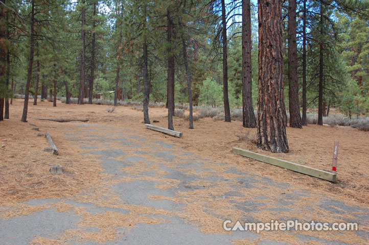 Logger Campground 014