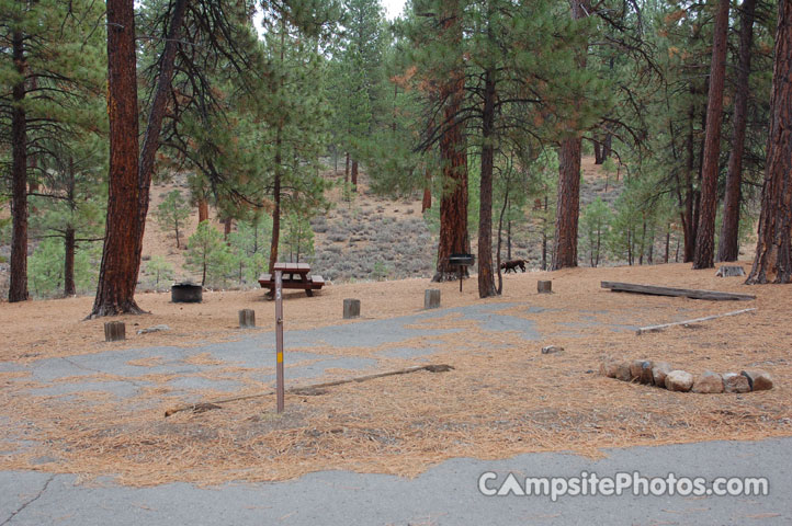 Logger Campground 015