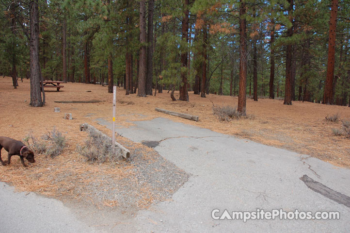 Logger Campground 023