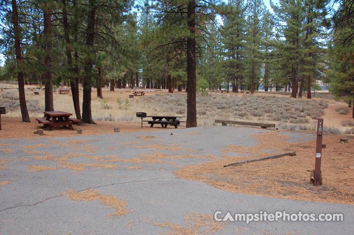 Logger Campground 034 Double