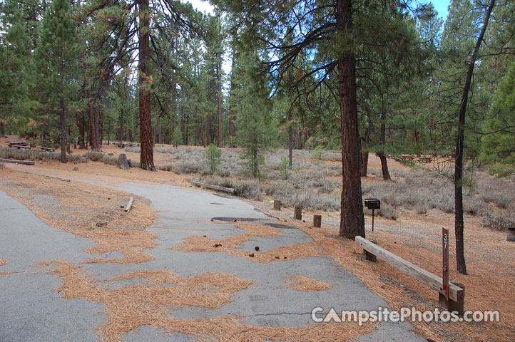 Logger Campground 037
