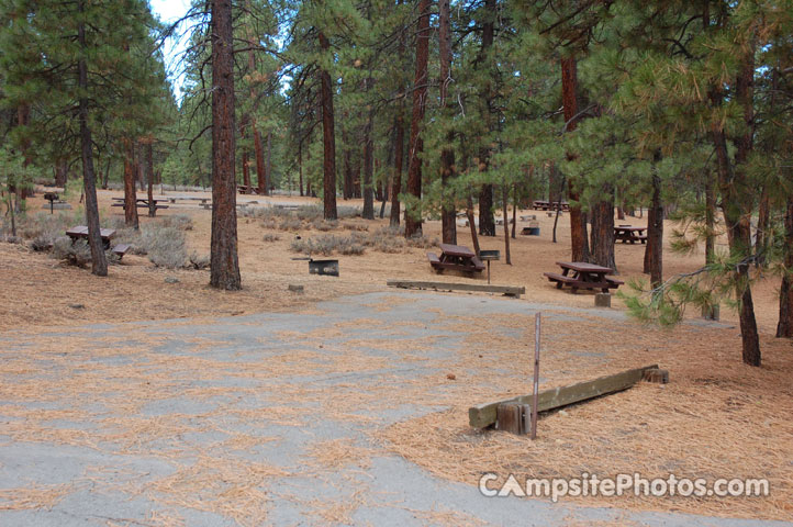 Logger Campground 040 Double