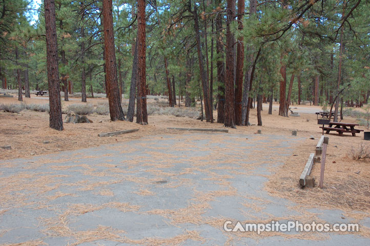 Logger Campground 043 Double