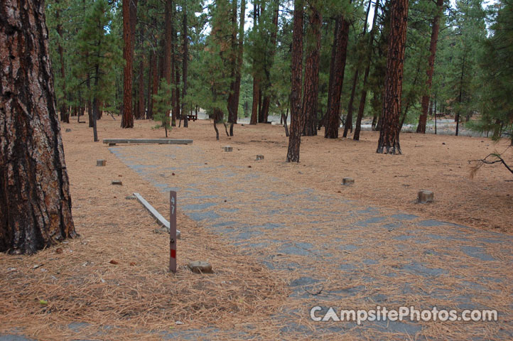 Logger Campground 047
