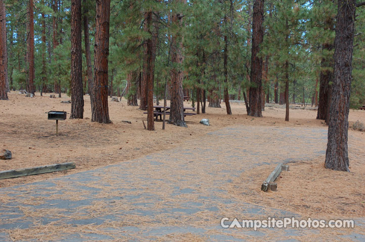 Logger Campground 055