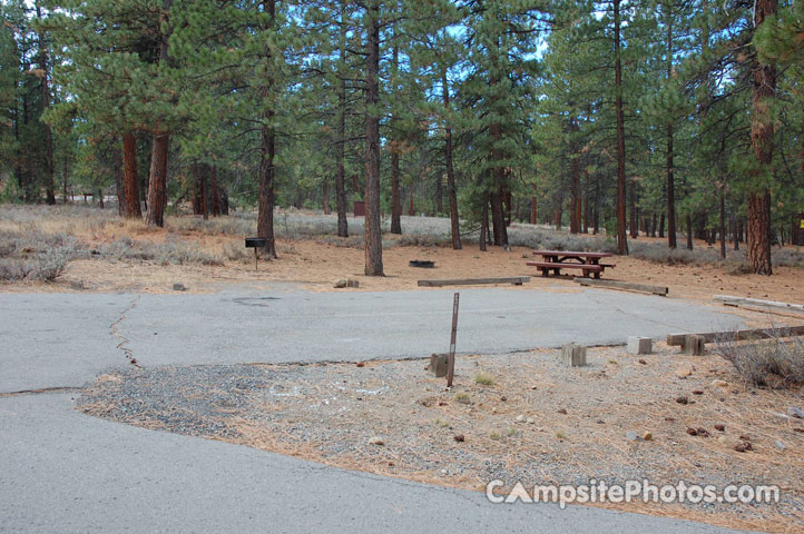 Logger Campground 058 Double