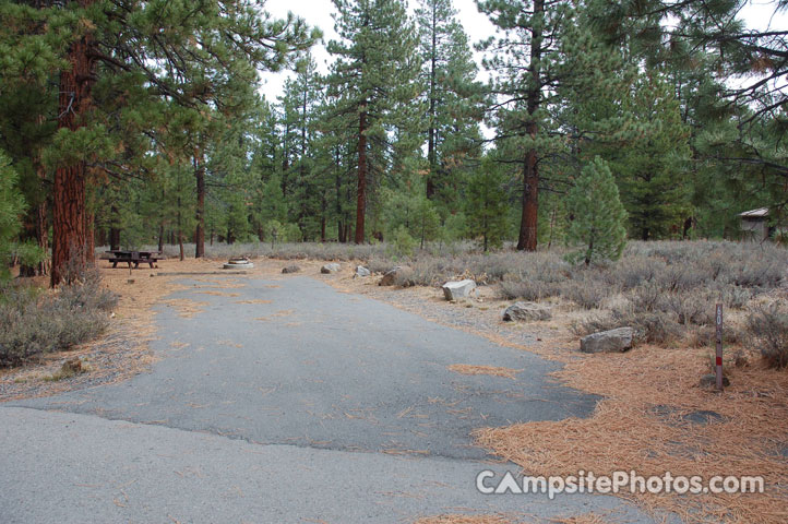 Logger Campground 060
