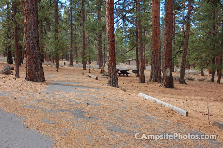 Logger Campground 062
