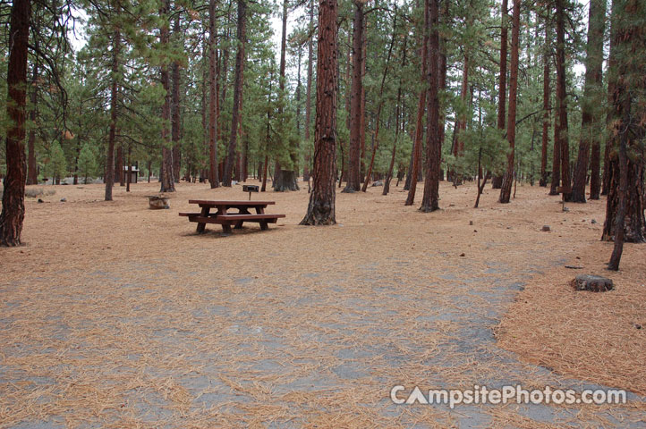 Logger Campground 063