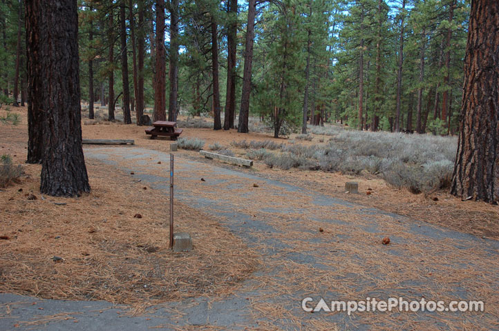 Logger Campground 067