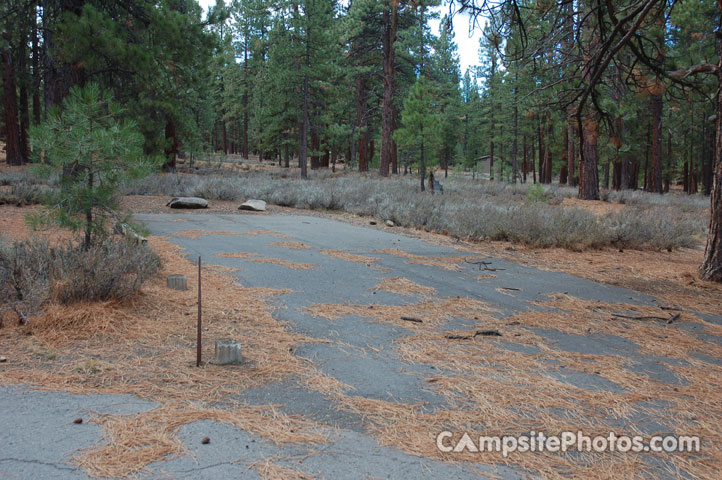 Logger Campground 069