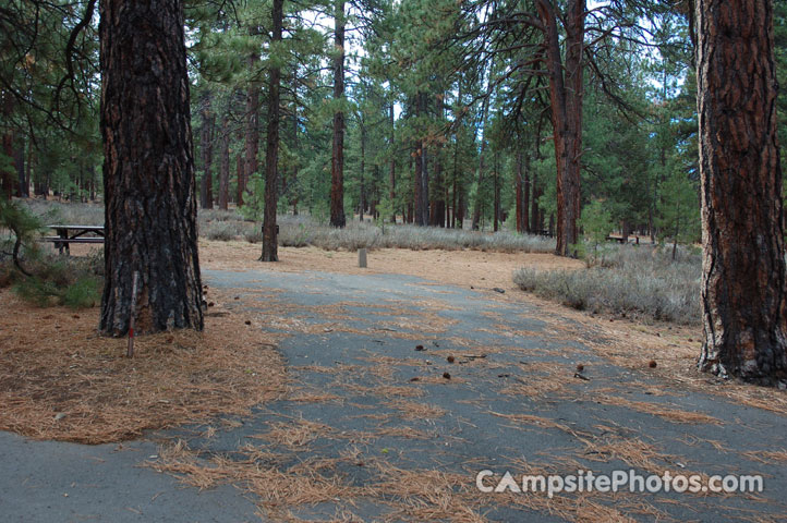 Logger Campground 070