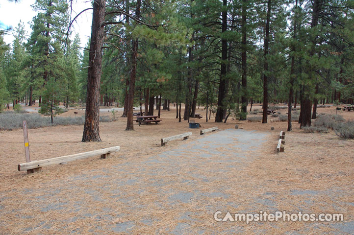 Logger Campground 074