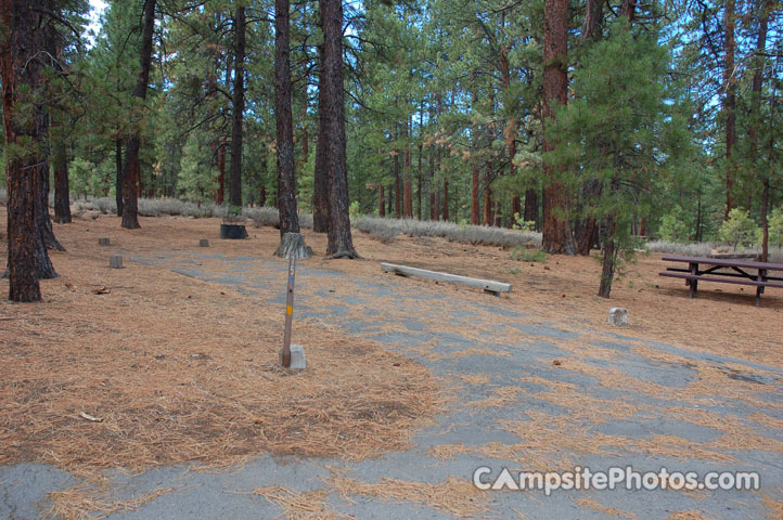 Logger Campground075
