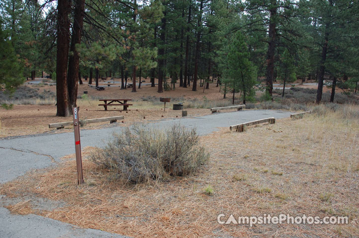 Logger Campground 081