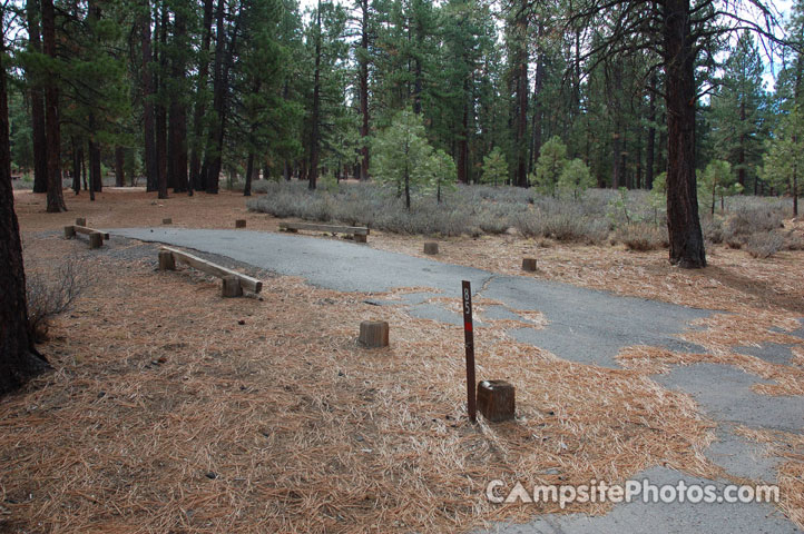 Logger Campground 085