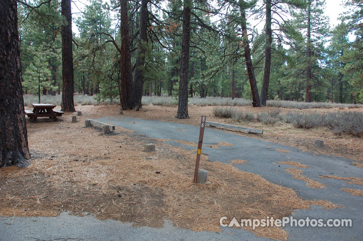 Logger Campground 086