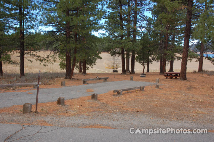 Logger Campground 094