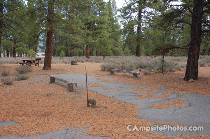 Logger Campground097