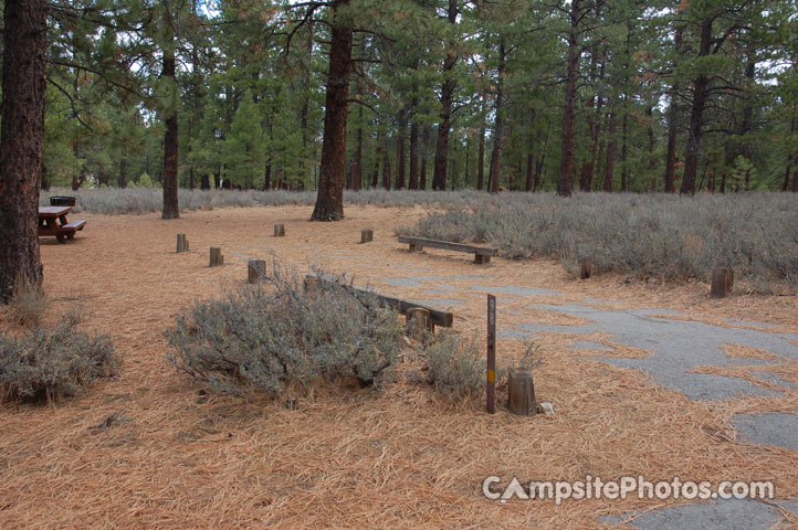 Logger Campground 098