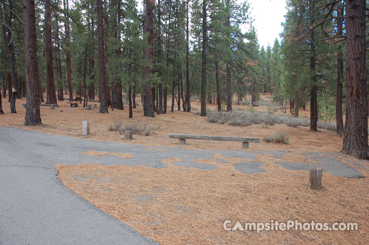 Logge Campground 099