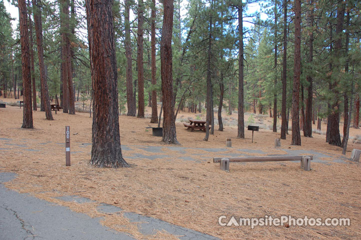 Logger Campground 100